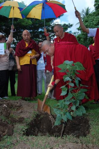 plant the Bodhi tree